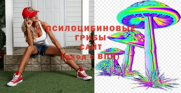 кокс Бородино