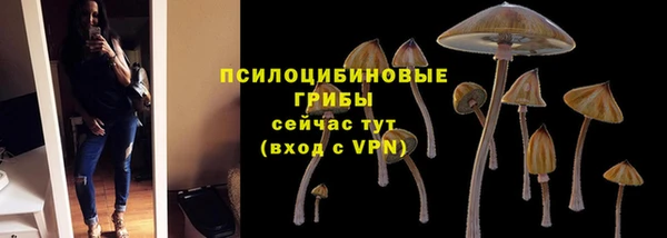 ПСИЛОЦИБИНОВЫЕ ГРИБЫ Бронницы