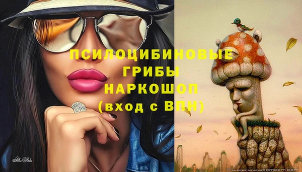 стафф Бугульма