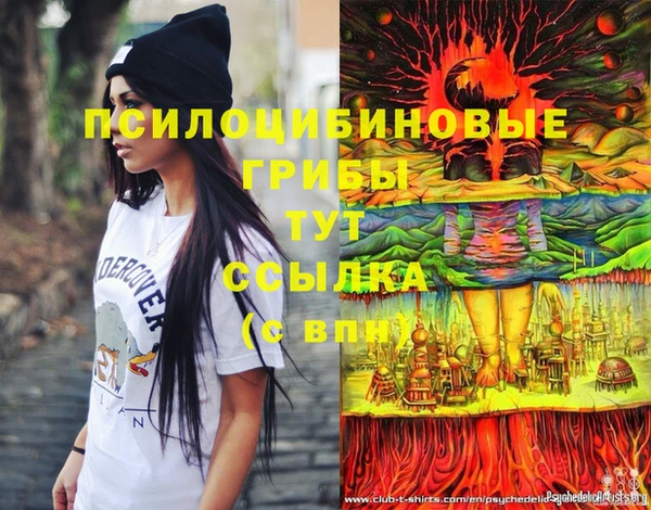 спиды Семикаракорск