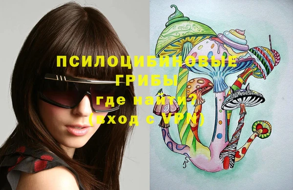 ПСИЛОЦИБИНОВЫЕ ГРИБЫ Бронницы