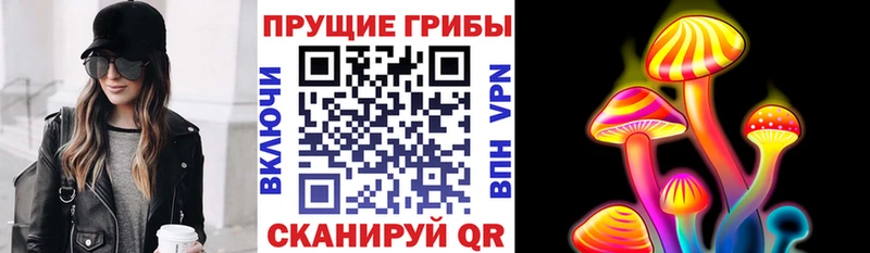 MEGA ONION  Новоузенск  Галлюциногенные грибы GOLDEN TEACHER 